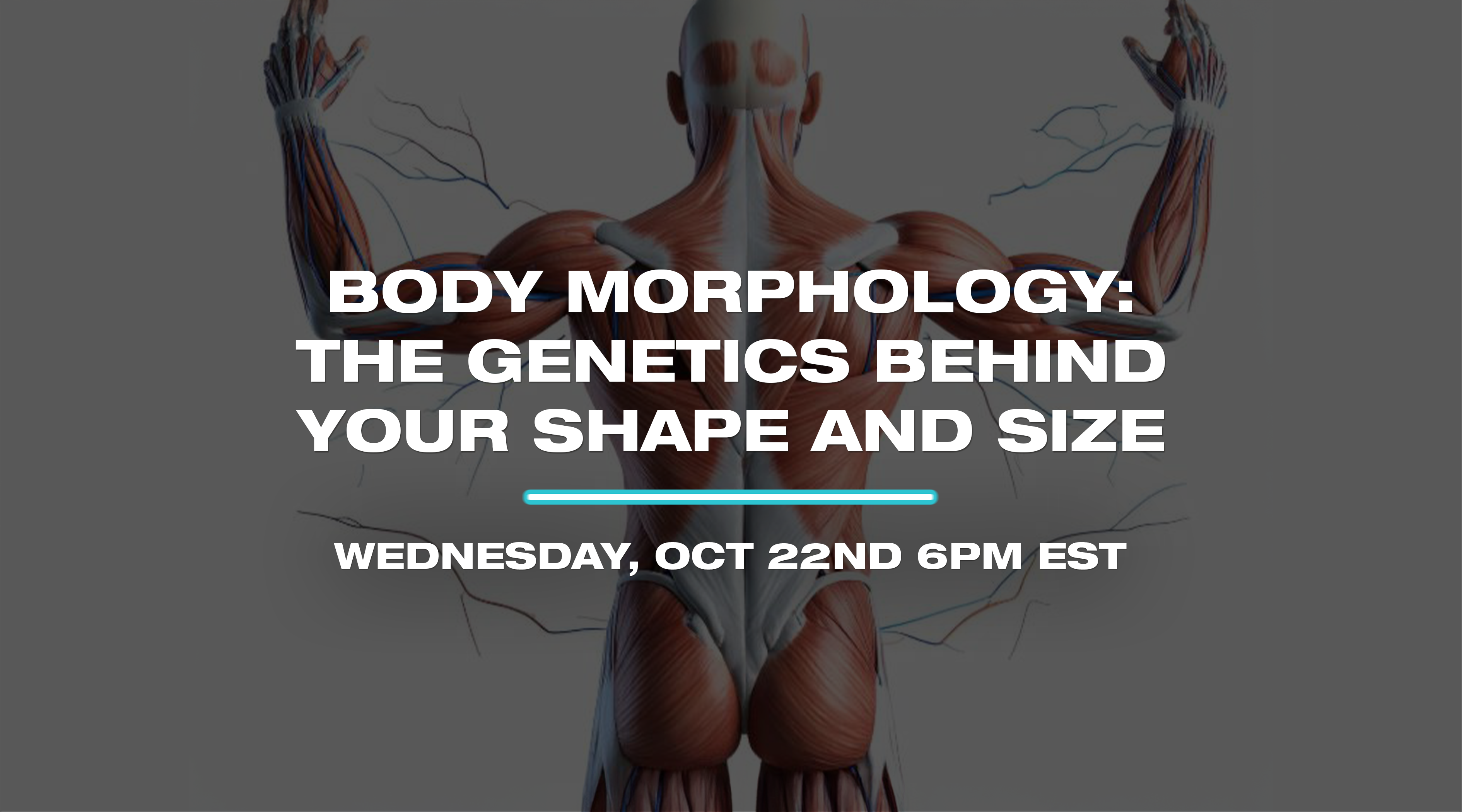 Webinars