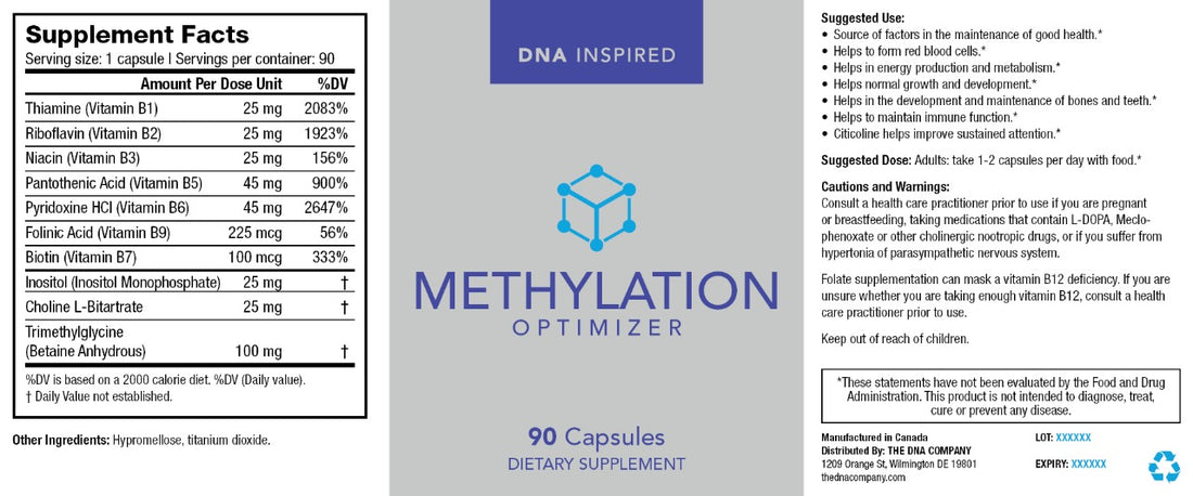 Methylation Optimizer