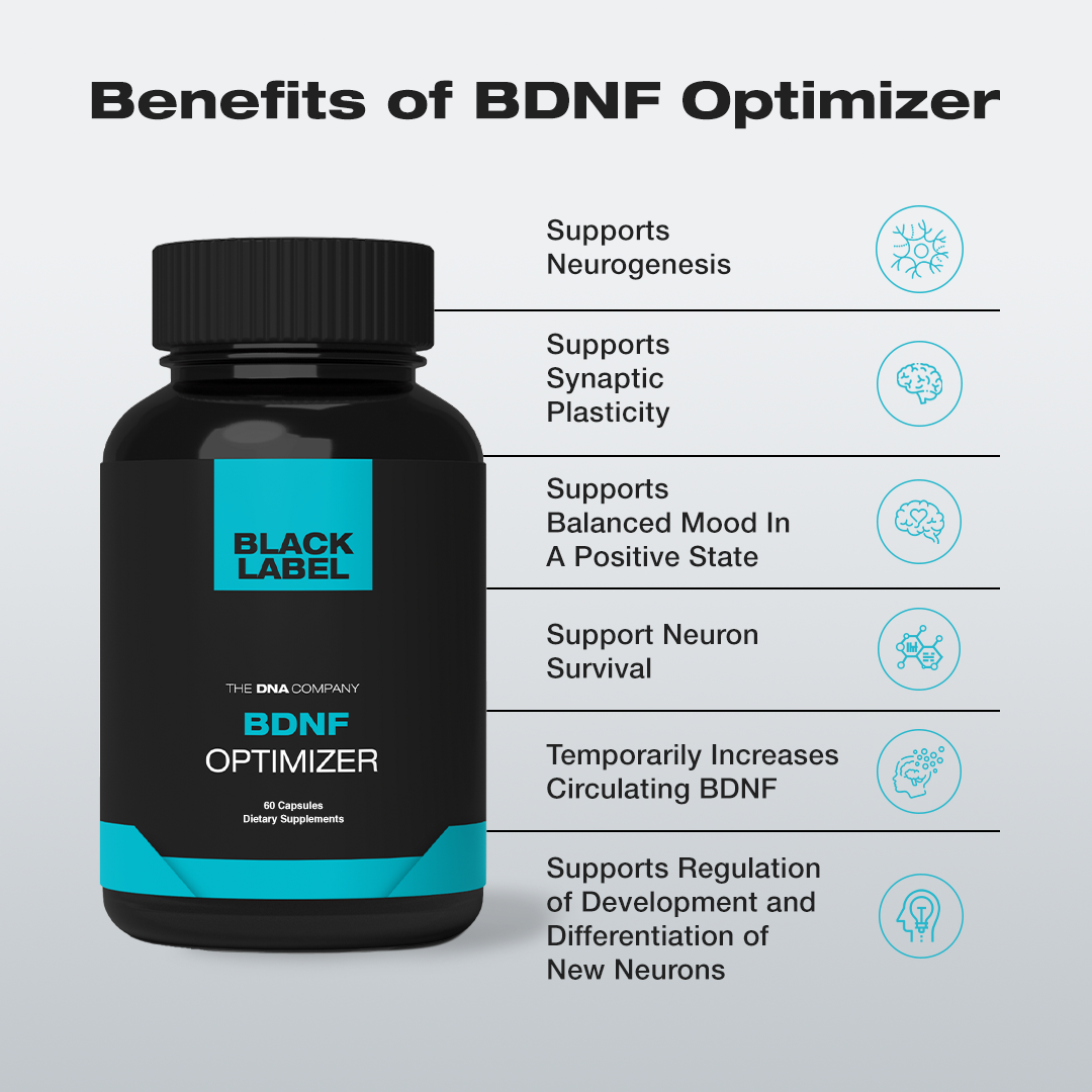 BDNF Optimizer