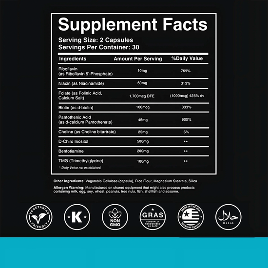 Methylation Optimizer - The DNA Company
