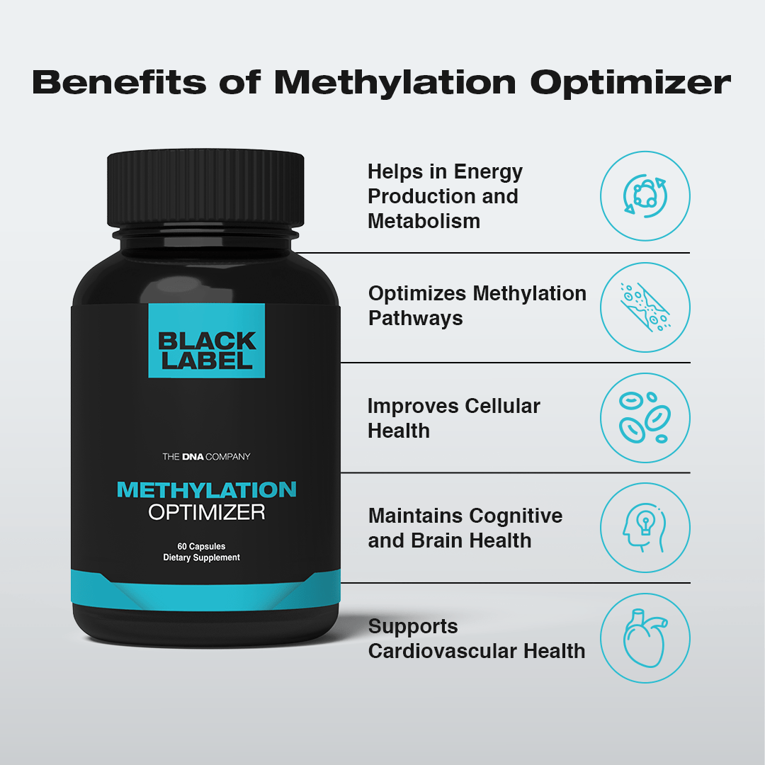 Methylation Optimizer - The DNA Company