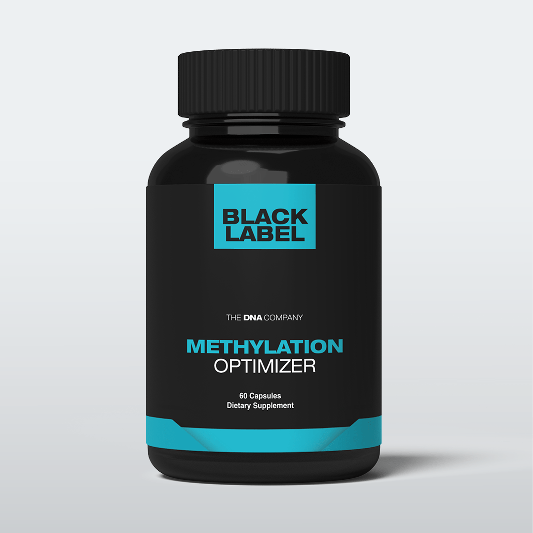 Methylation Optimizer - The DNA Company