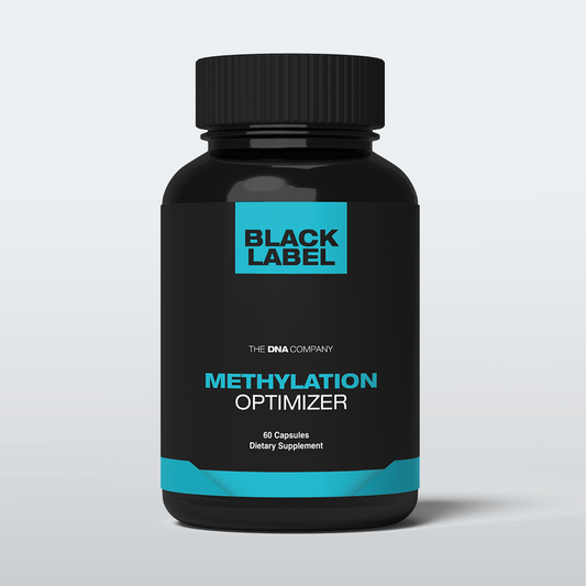 Methylation Optimizer - The DNA Company